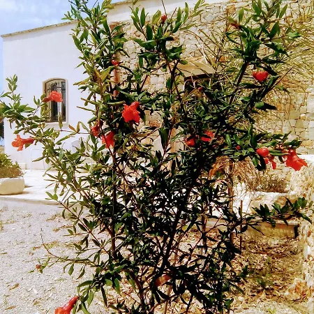 Casale Conte Dell'Anna Villa Porto Cesareo Exterior photo